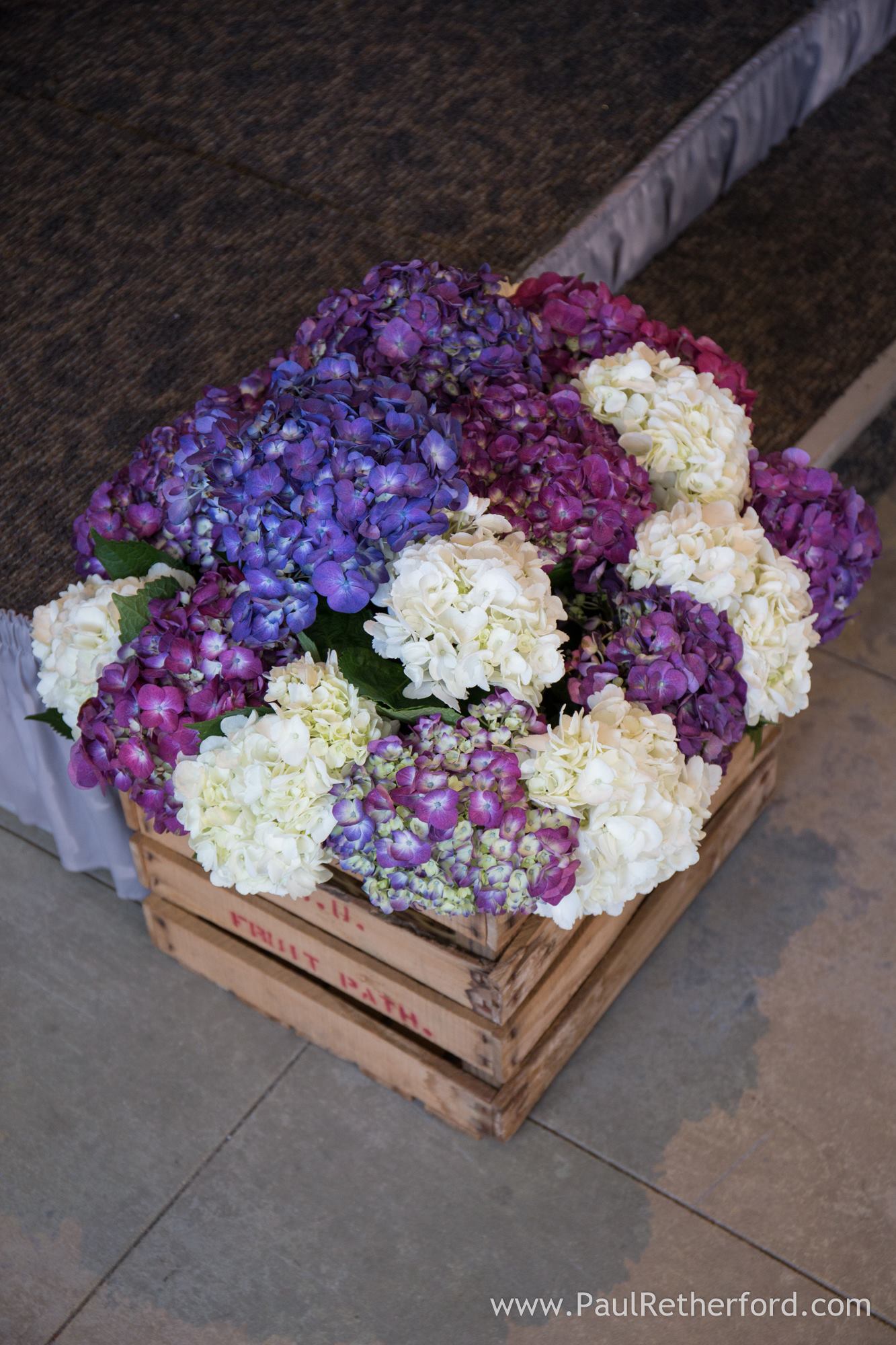 purple hydrangeas at wedding